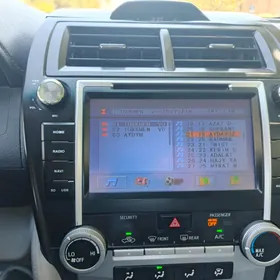 palta uly monitor
