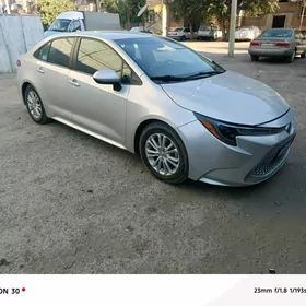 Toyota Corolla 2021
