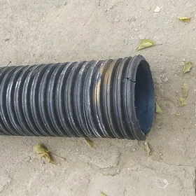 Turba Kanelzasya.150