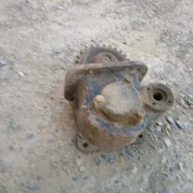enşwe