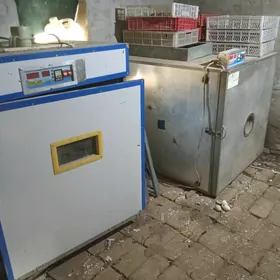 Inkubator