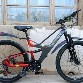TIGIR CARBON GERMANSKIY [26]