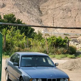 BMW 525 1991