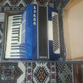 akardion wokal
