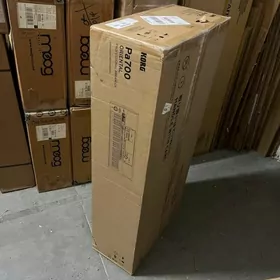 Korg pa700 oriental
