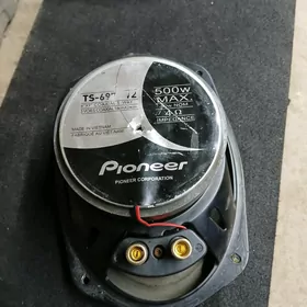 pioner kalonka nikl