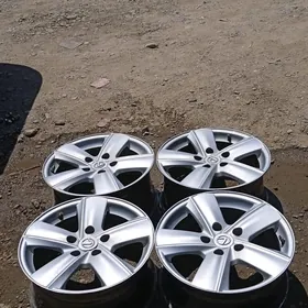 öküz kelle disga R16