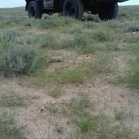 Gaz 66 1980