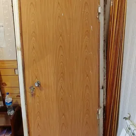 железные двери