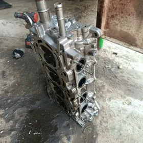 carolla Galovka