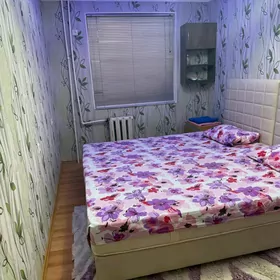 Arenda jay 11 mkr 