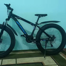 WELESIPET 26 LYK