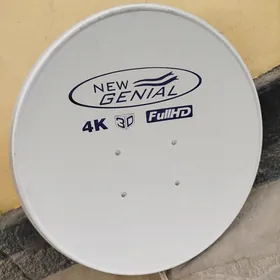 anten gaty gowy bahadan