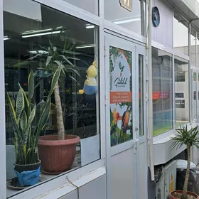 Magazin satlyk Gundogar bazar