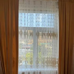 zanaweska