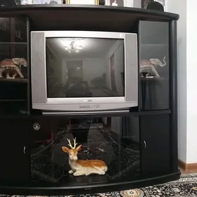 tv pastawka dvd tyuner