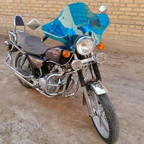 Fekon FK150-8G 2010