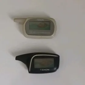 Tenon pultlar