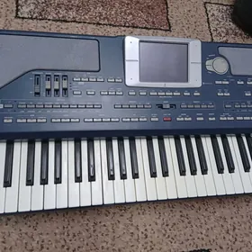 KORG  PA  800