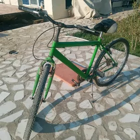 satlyk turkmenistan welik