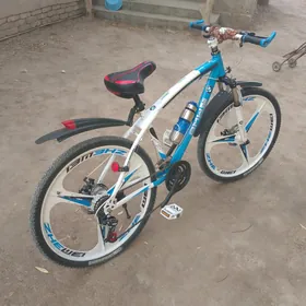 BMW WELSEPET