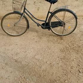 Dubai velik