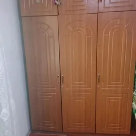 шифанер