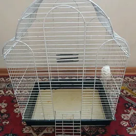 Клетка