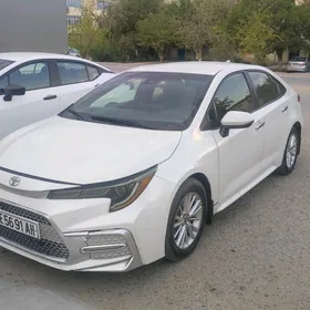 Toyota Corolla 2020