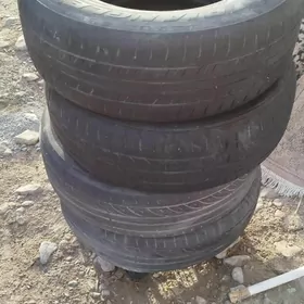 тигир