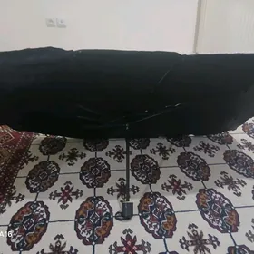 zontik