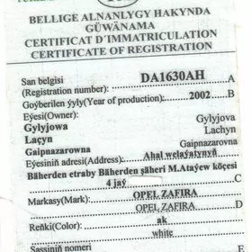 Prawa,teh pasport, gurat hat