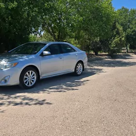 Toyota Camry 2013