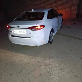 Toyota Corolla 2019