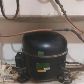 Holodilnigiň motory