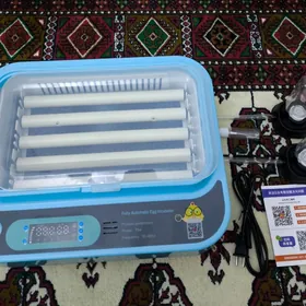 Incubator