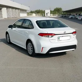 Toyota Corolla 2019