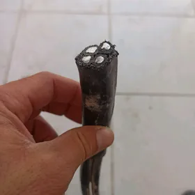 4 Žyla Kabel