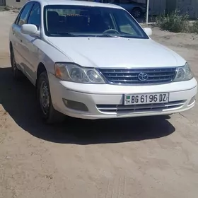 temizlikçi gerek hojalik jan