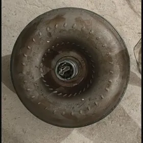 koropka Gazan 211