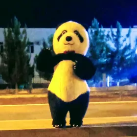 Panda