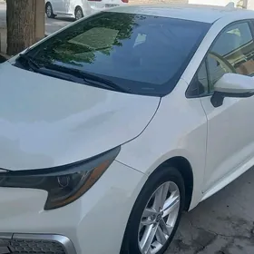Toyota Corolla 2019