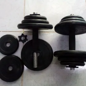 gantel