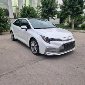 Toyota Corolla 2021