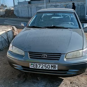 lisicka fara bn poworotnik