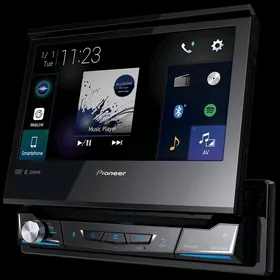 Pioneer