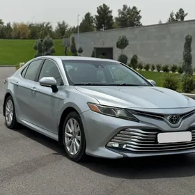 Toyota Camry 2019