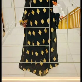 vcerni sifon