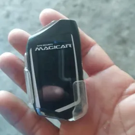 majigar  tapdym