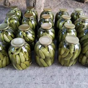 Aurisi turşi